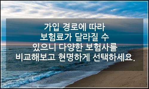 오늘의 이미지