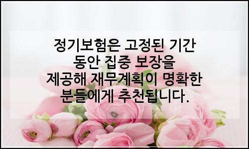 오늘의 이미지
