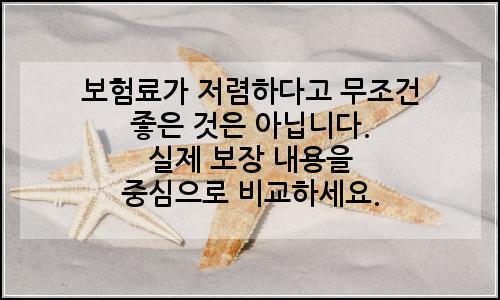 오늘의 이미지