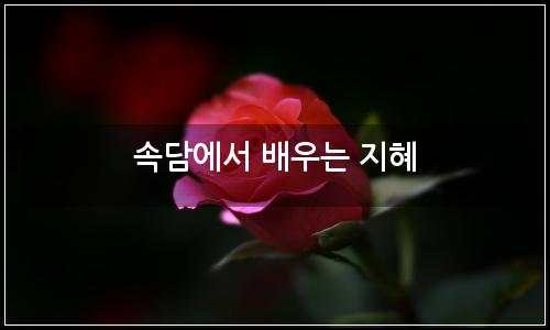 오늘의 이미지