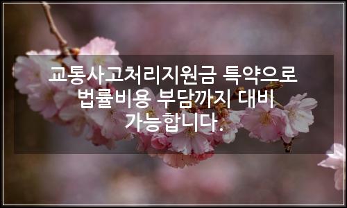 오늘의 이미지
