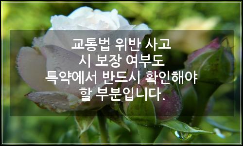 오늘의 이미지