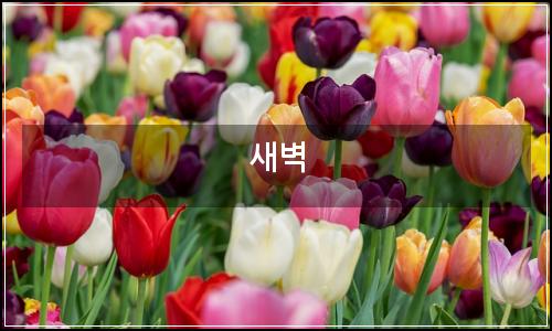 오늘의 이미지