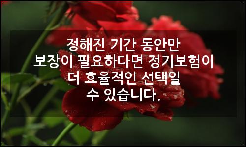 오늘의 이미지