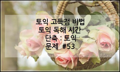 오늘의 이미지