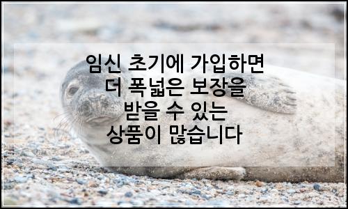 오늘의 이미지