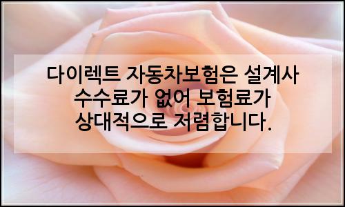 오늘의 이미지