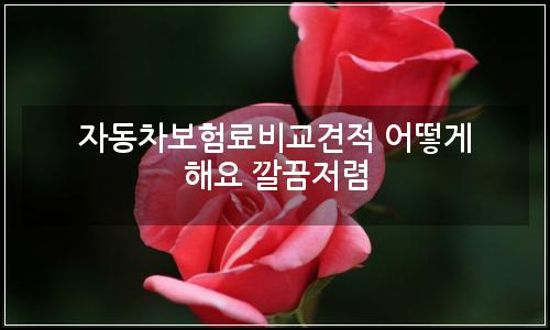 오늘의 이미지