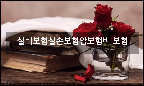오늘의 이미지