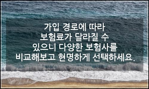 오늘의 이미지