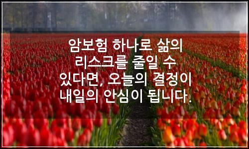 오늘의 이미지