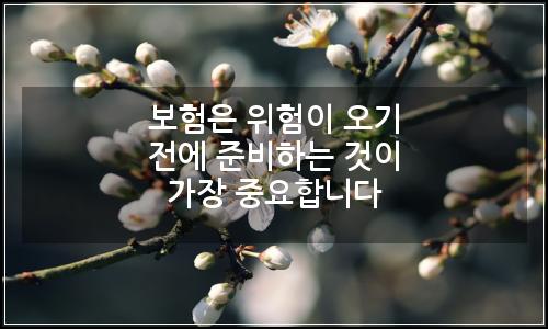 오늘의 이미지