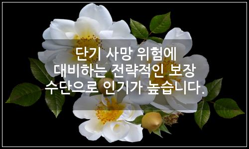 오늘의 이미지