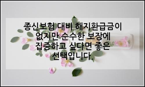 오늘의 이미지
