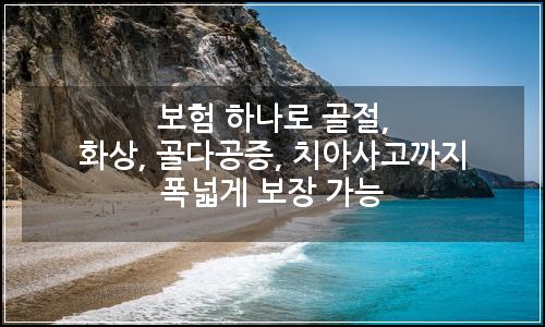 오늘의 이미지