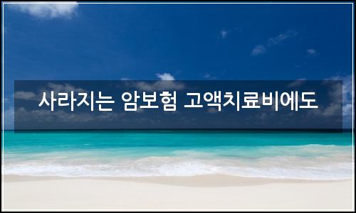 오늘의 이미지