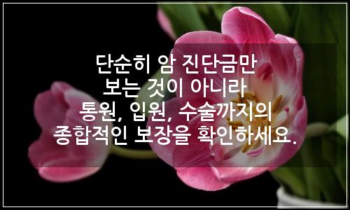 오늘의 이미지