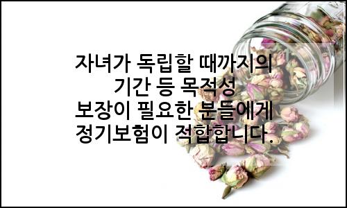 오늘의 이미지