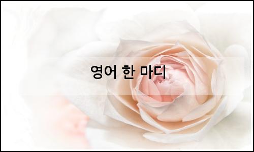 오늘의 이미지