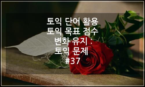 오늘의 이미지