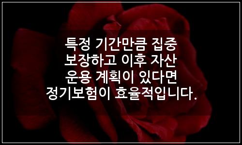 오늘의 이미지
