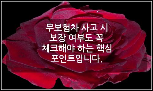 오늘의 이미지
