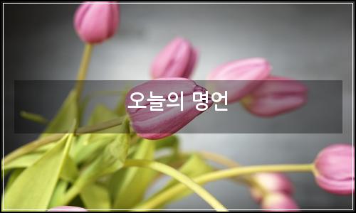 오늘의 이미지