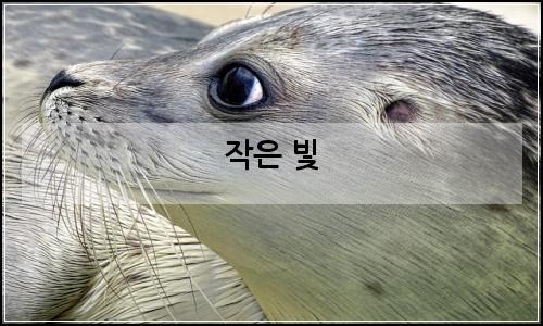오늘의 이미지