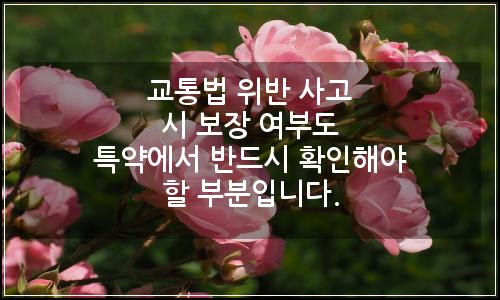 오늘의 이미지