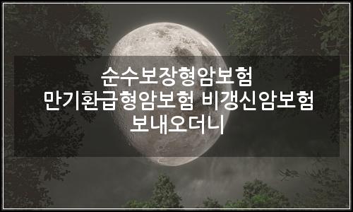 오늘의 이미지