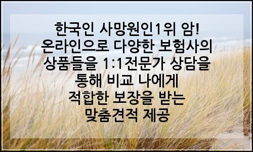 오늘의 이미지