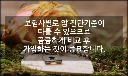 오늘의 이미지