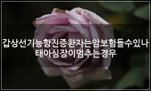 오늘의 이미지