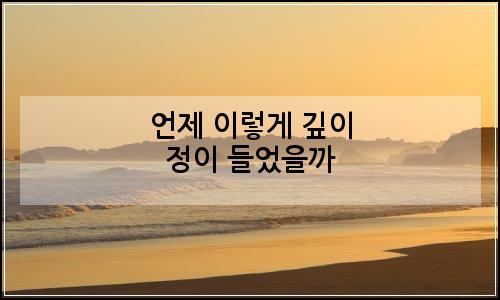 오늘의 이미지