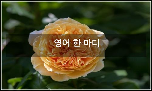 오늘의 이미지