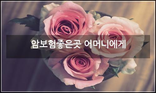 오늘의 이미지