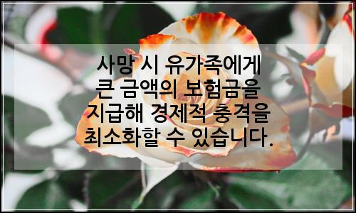오늘의 이미지
