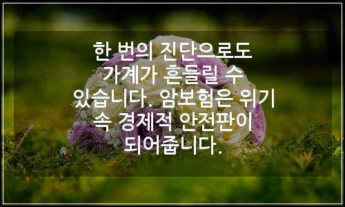 오늘의 이미지
