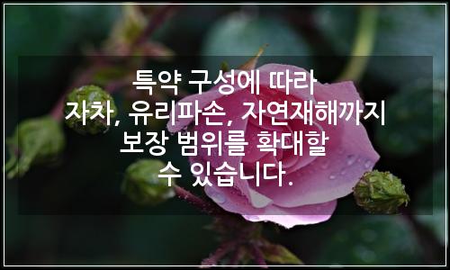 오늘의 이미지