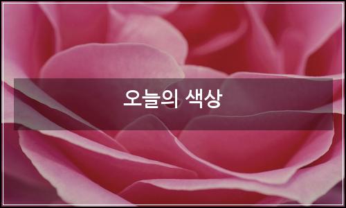 오늘의 이미지