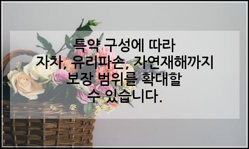 오늘의 이미지