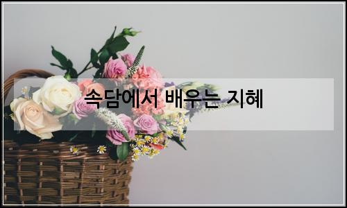 오늘의 이미지