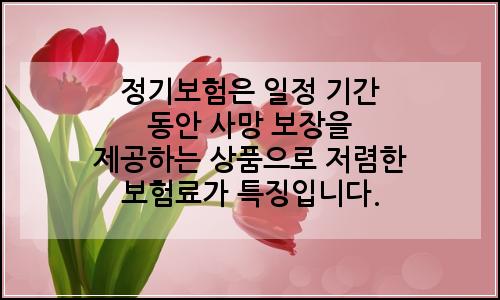 오늘의 이미지