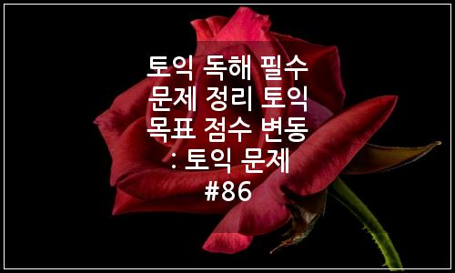 오늘의 이미지
