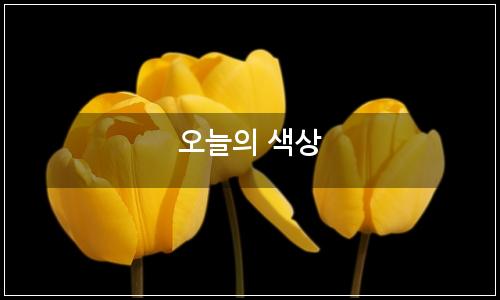오늘의 이미지