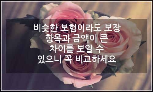 오늘의 이미지