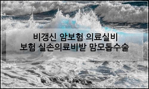 오늘의 이미지