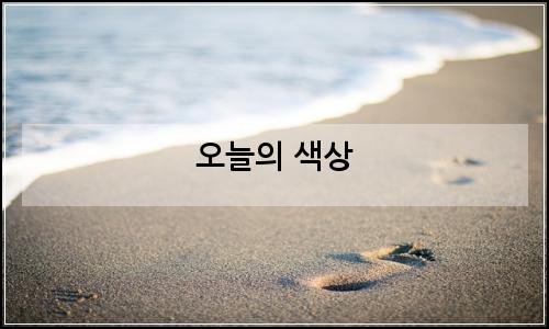 오늘의 이미지