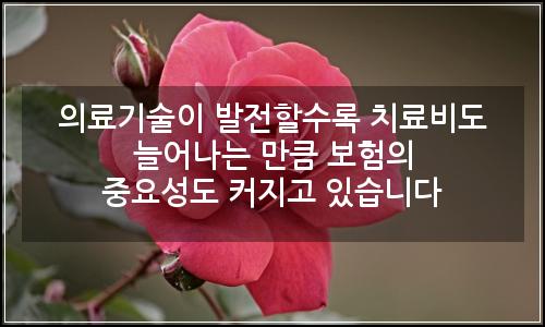 오늘의 이미지