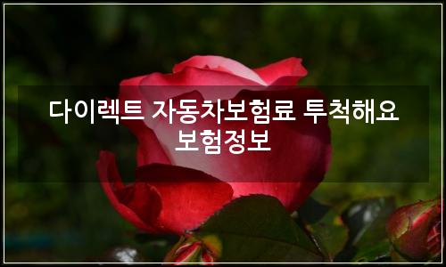 오늘의 이미지